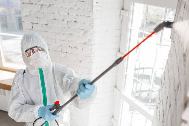 Best Industrial Mold Remediation  in Old Miakka, FL