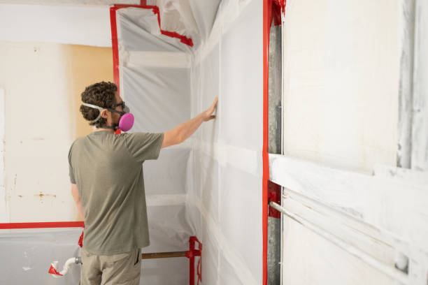 Best Mold Prevention Services  in Old Miakka, FL