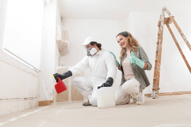 Mold Odor Removal Services in Old Miakka, FL